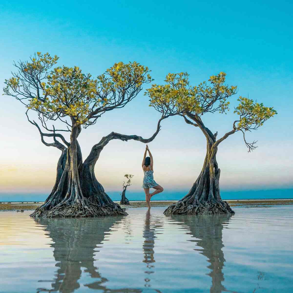 Mangroves at Walakiri Beach, Sumba, at dusk